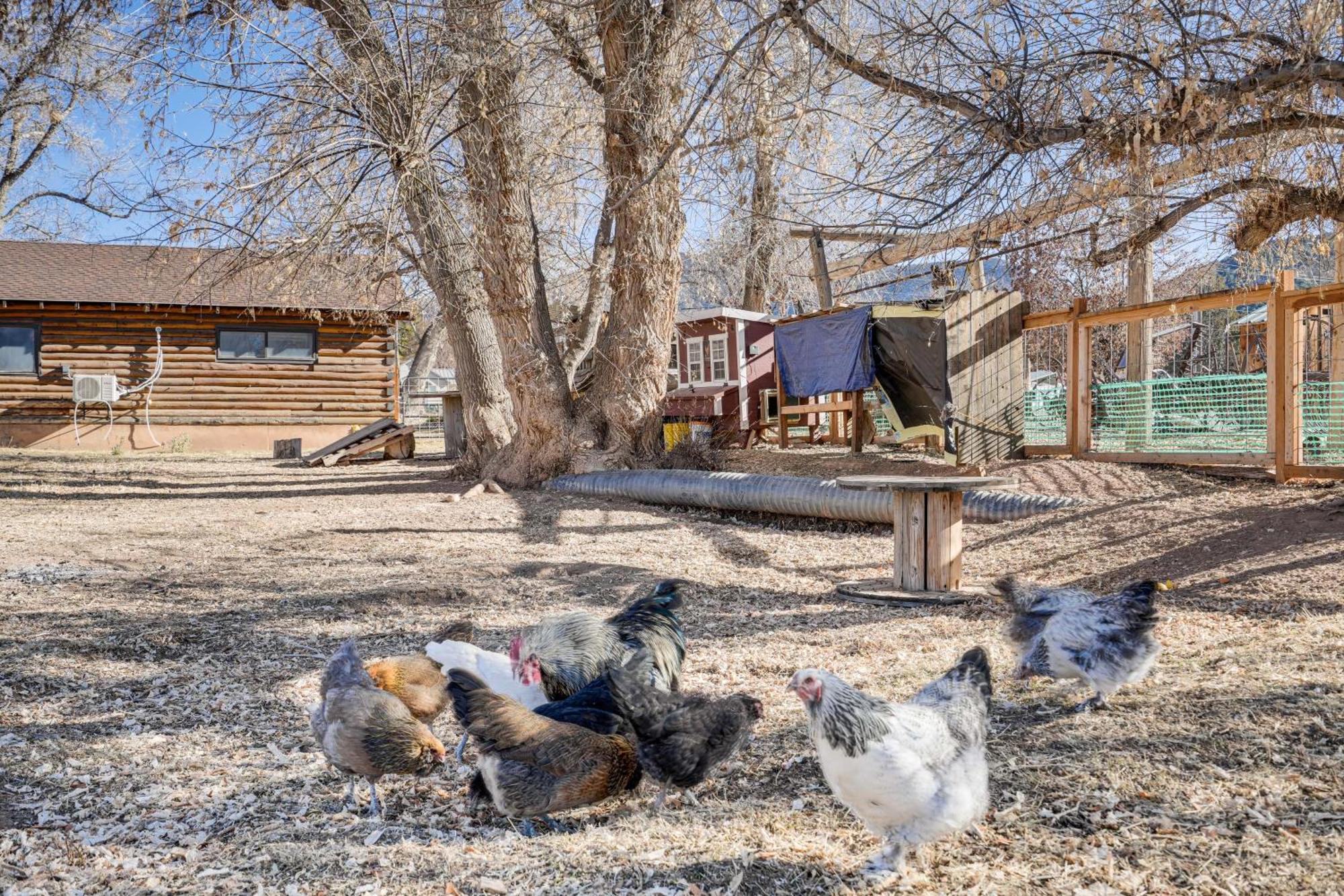 Cozy Parowan Studio 12 Mi To Brian Head Resort! Luaran gambar