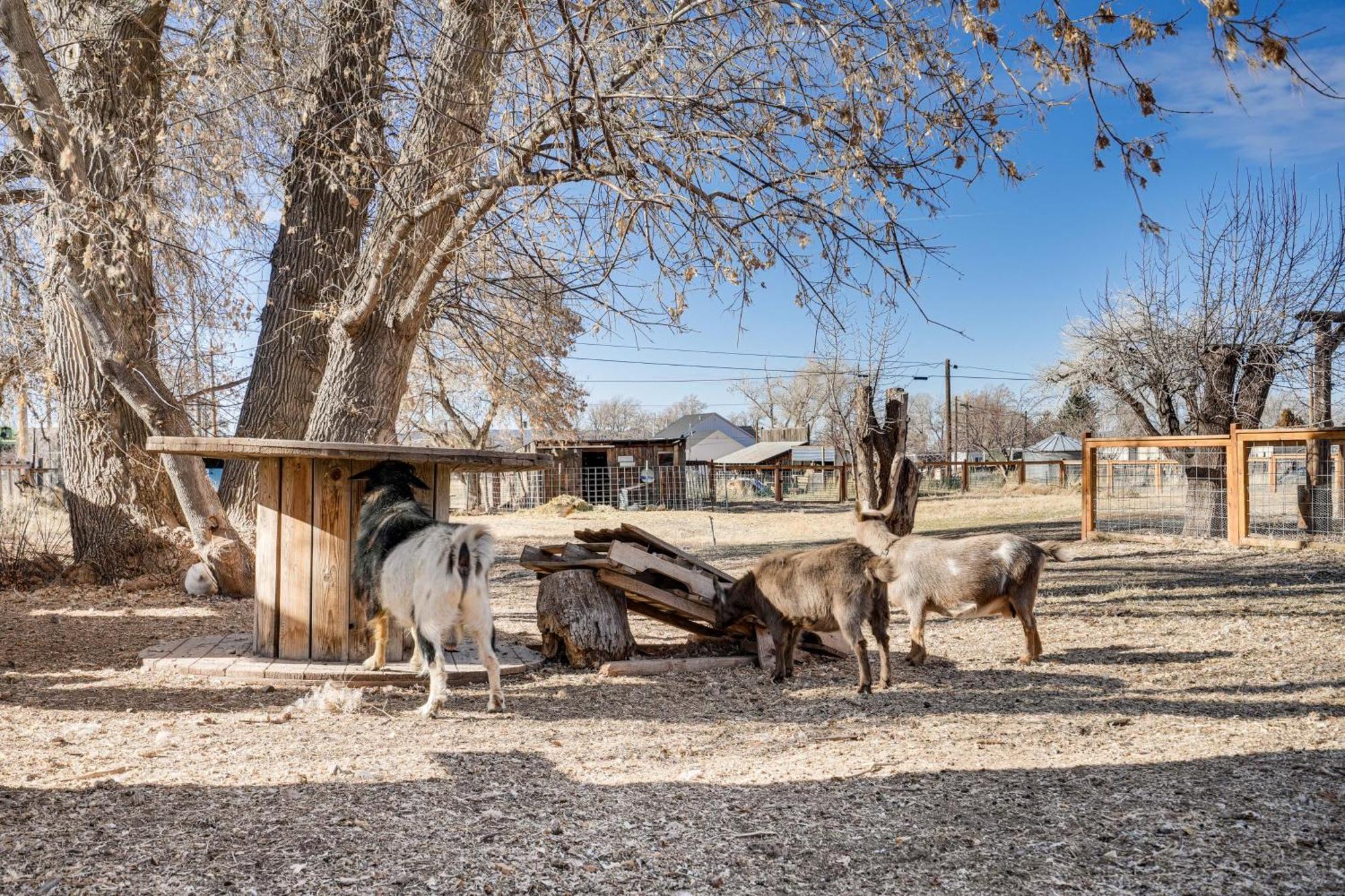 Cozy Parowan Studio 12 Mi To Brian Head Resort! Luaran gambar